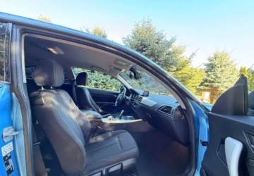 BMW Seria 1 F20-F21 Hatchback 5d Facelifting 2015 120d 190KM 2017 BMW Seria 1 BMW Seria 1 120d xDrive Sport-Aut Sport Line 2.0 Diesel 190KM, zdjęcie 20
