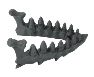 Smocza szczęka z zestawem kości ze smoczych zębów - Dragon Teeth Dice Set