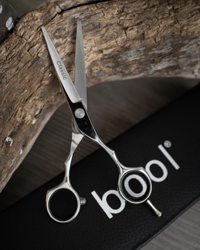 Ножницы парикмахерские Bool Classic серебряный футляр 5,5