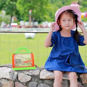 НАБОР ДЛЯ ЛОВЛИ ЖУКОВ В КЛЕТКЕ ДЛЯ НАБЛЮДЕНИЙ ЗА НАСЕКОМЫМИ