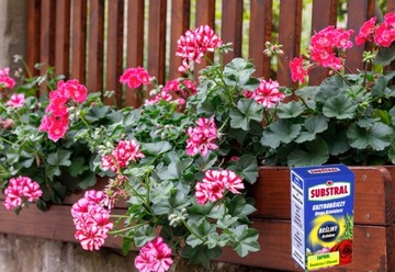 СУБСТРАЛЬНЫЙ ФУНГИЦИД ДЛЯ ДЕКОРАТИВНЫХ РАСТЕНИЙ САПРОЛ 25 мл