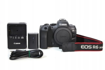 Нательная камера Canon EOS R6 Mark II + адаптер