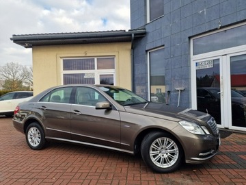 Mercedes Klasa E W212 Limuzyna 250 CGI BlueEFFICIENCY 204KM 2010 Mercedes E 250 CGI Elegance Automat Navi Skóry, zdjęcie 11