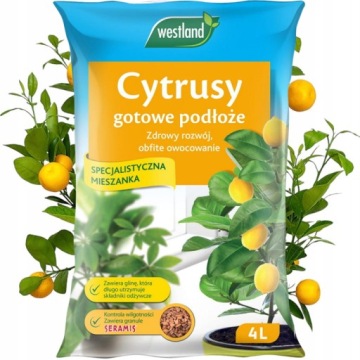 ZIEMIA do CYTRUSÓW CYTRYNY PODŁOŻE z Seramis
