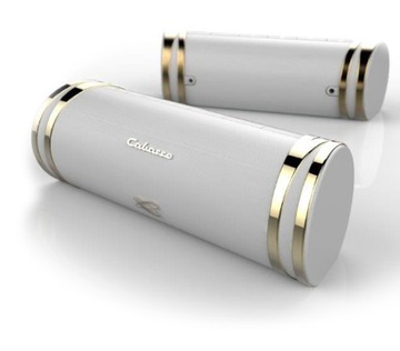 Cabasse Swell BT bezprzewodowy głośnik Bluetooth