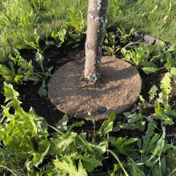 КОКОСОВЫЙ МАТЕРИАЛ ПРОТИВ СОРНЯКОВ, ОБОКРУЖЕНИЕ МОЛСТЫХ РАСТЕНИЙ. 5ММ, ДИАМ. 60 СМ