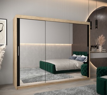 Шкаф-купе TOKYO 3 250, высота 200 см.