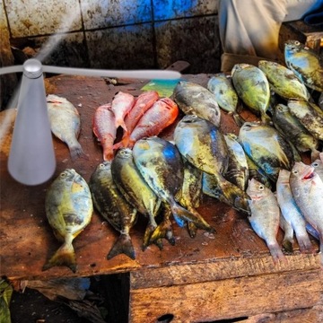 2 ШТ. СТОЛ ПОРТАТИВНЫЙ ЭЛЕКТРИЧЕСКИЙ ВЕНТИЛЯТОР КОМАРЫ НАСЕКОМЫЕ