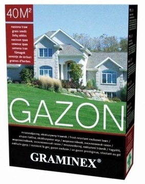 NASIONA TRAW GAZON 1KG GRAMINEX