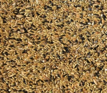 KARMA KANAREK EXCLUSIVE VITA ORGANIC KE-BR MDM bez Rzepiku 1kg