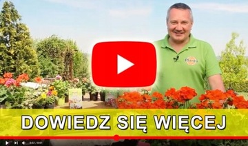 SADZARKA CEBUL KWIATOWYCH SADZENIE CEBULE CEBULEK DO OTWORÓW 6-8cm W ZIEMII
