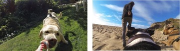 Szelki FETCH DOG HARNESS Obrót 360° GOPRO dla Psa