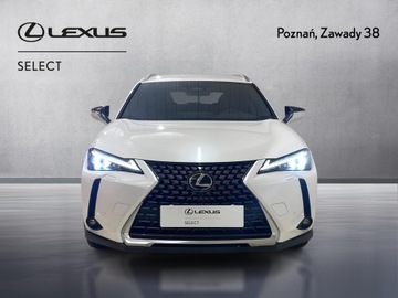Lexus UX 2025 Lexus UX 300h Omotenashi Lexus UX 300h Omotenashi,, zdjęcie 7