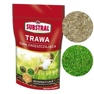 Trawa Renowacyjna Samozagęszczająca 250g SUBSTRAL