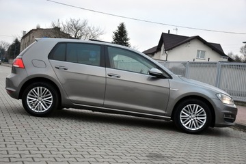 Volkswagen Golf VII Hatchback 3d 1.6 TDI-CR DPF 105KM 2014 Volkswagen Golf VII CUP Edition 1.6TDI 105KM 5drzwi ACC BOGATA Wersja 2014r, zdjęcie 8