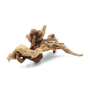 Biorain Roots Natural Tropical Croot Driftwood для террариума M 20-30 см.