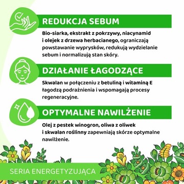 ВИАНЕК Нормализующий крем для лица на ночь