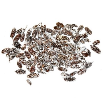 Szyszki BIELONE susz szyszka MINI 125g stroik