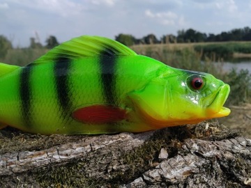 SEWRO CUSTOM PERCH FLUO 25 см