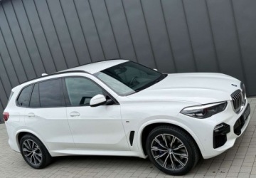 BMW X5 G05 SUV 3.0 30d 265KM 2019 BMW X5 BMW X5 xDrive30d sport 3.0 Diesel 265KM, zdjęcie 29