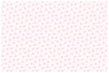 OBRUS PAPIEROWY KOTEK KOCIE ŁAPKI-1,20x1,80-1875