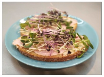 ЛЬНЯНОЙ КОВРИК для проращивания микрозелени