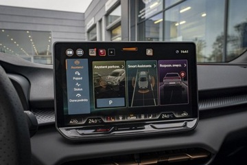 Cupra Terramar 2025 Cupra Terramar 2.0 TSI 204 KM DSG 4Drive Demo, zdjęcie 27