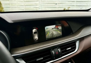 Alfa Romeo Stelvio SUV 2.0 Turbo 280KM 2018 Alfa Romeo Stelvio Alfa Romeo Stelvio 2.0 Turbo 16V AT8-Q4 Veloce Ti 2.0, zdjęcie 16