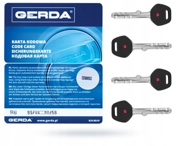 Дверная вставка GERDA Star S RIM6000 S, старый тип