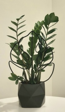 ПОДДЕРЖКА ДЛЯ РАСТЕНИЙ МОНСТЕРА ЦВЕТЫ S 20 СМ