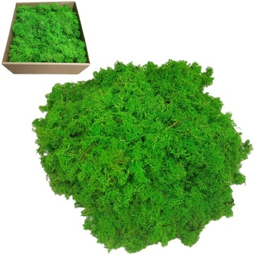 Mech chrobotek reniferowy jasno zielony fiński 200g ściółka do stroika