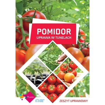 Pomidor: uprawa w tunelach - zeszyt uprawowy