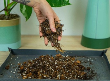 Смесь Бигос Субстрат для Алоказии ПРЕМИУМ 3л