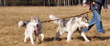 HIFICA RUN TREK 2.2 PA 40 Веревочный амортизированный поводок для бега с собакой