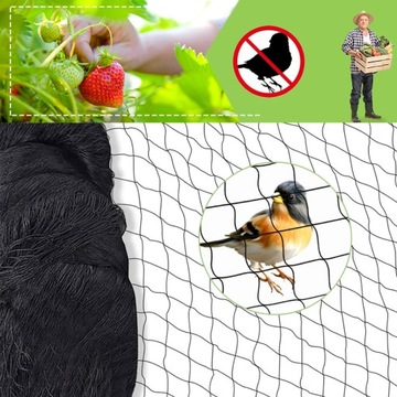 SIATKA OCHRONNA DLA PTAKÓW SIATKA OCHRONNA WIELOFUNKCYJNY SIEĆ ANTY GOŁĘBIE