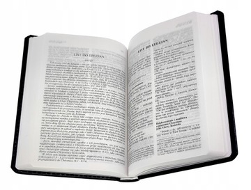 СВЯЩЕННОЕ ПИСАНИЕ ТЫСЯЧЕЛЕТИЯ, НОВЫЙ ЗАВЕТ И ПСАЛМЫ