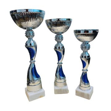 KOMPLET PUCHAR PUCHARY TROFEUM + GRAWER