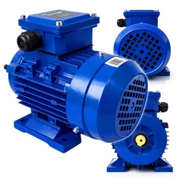 ONDRAGON ОДНОФАЗНЫЙ ЭЛЕКТРОДВИГАТЕЛЬ 3KW 2800RPM 230V МОЩНЫЙ ОТ9157