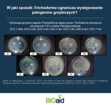 БИО-Триходерма препарат от грибковых заболеваний растений