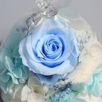 ВЕЧНЫЙ ЦВЕТОК РОЗА В СТЕКЛЕ ПОДАРОК ​​ДЛЯ РЫБ СТЕКЛЯННАЯ ФИГУРКА ЗНАК ЗОДИАКА