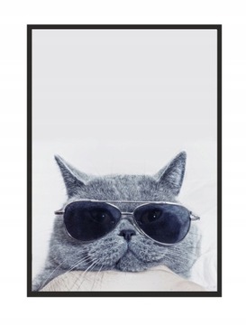 OBRAZ, PLAKAT W RAMIE 33x43 cm Kot P503