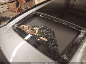 BMW X5 G05 2024 BMW X5 2024 BMW X5 xDrive40i Sports Activity Vehicle 3.0 Benzyna 375KM, zdjęcie 14