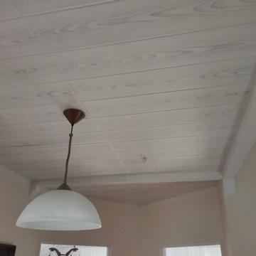 НАСТЕННЫЕ КАССЕТЫ ПОТОЛОЧНЫЕ панели П-02 100х,16,7