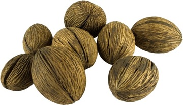 5x MINTOLLA Naturalny SUSZ DO DEKORACJI Stroik