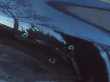 ЧЕТВЕРТЬ КРЫЛА ЗАДНЯЯ ЛЕВАЯ RENAULT LAGUNA 3 COUPE