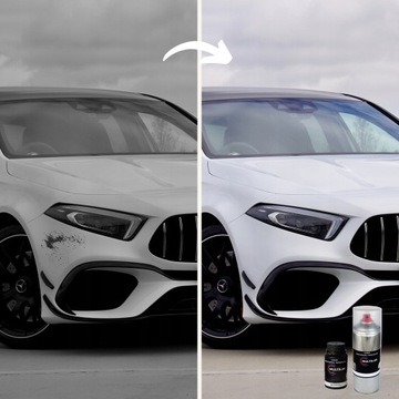 БОЛЬШОЙ НАБОР ДЛЯ РЕМОНТА ПОКРАСКИ АВТОМОБИЛЯ НАБОР СПРЕЙ Audi LY7W