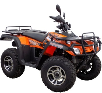 КРЫШКА КОРПУСА ДВИГАТЕЛЯ НИЖНЯЯ Quad Feishen ATV 300cc 4x4 OEM!