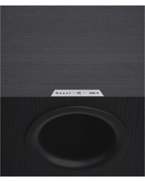 Активный сабвуфер STX Quant 300 S, черный