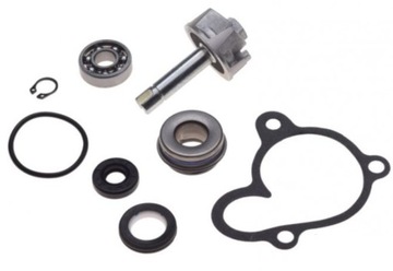 USZCZELNIACZ REPERATURKA POMPY WODY CIECZY Quad Buyang Allroad 260/300cc