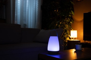 RGB-лампа, портативный светодиодный садовый фонарь, пульт дистанционного управления.